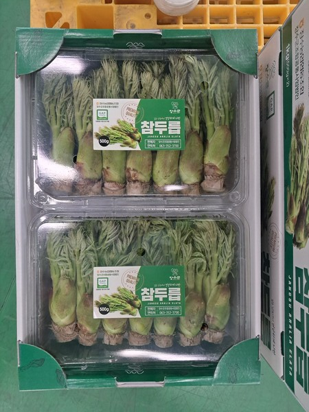 장수 참두릅 / 사진=장수군