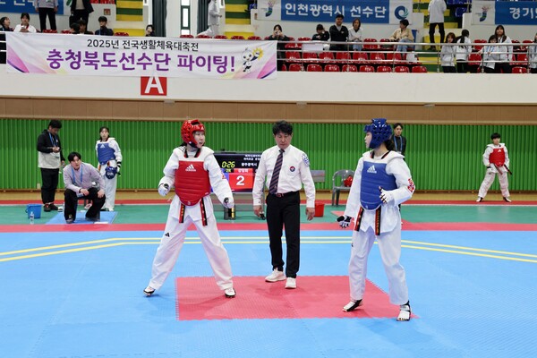 태권도경기 / 사진 = 장흥군