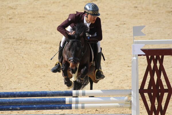 승마대회 사진 / 사진 = 대한승마협회