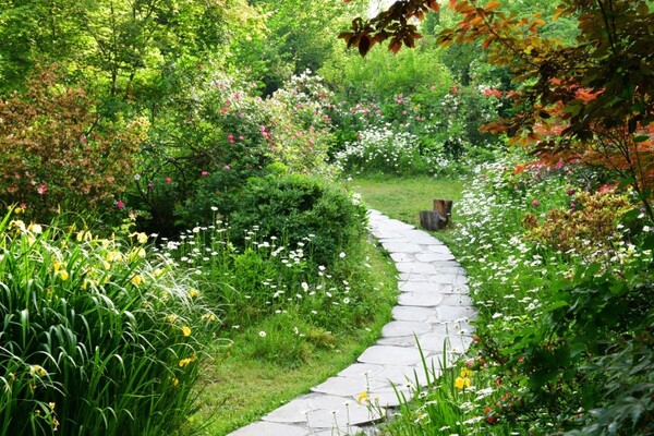 제16회 데이지 장미축제 개최되는 담양 죽화경 / 사진 = 담양군