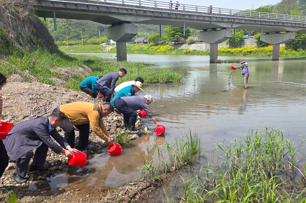 토종 물고기 치어 방류로 하천 살리기 동참 / 사진 = 순창군