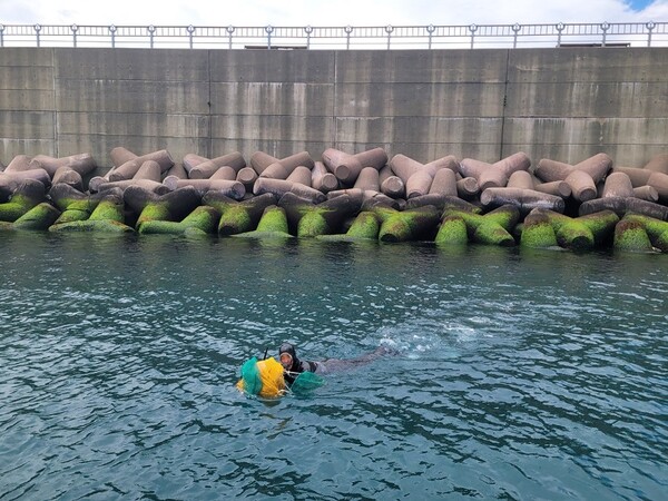 해녀를 동원하여 어린해삼을 방류하는 모습 / 사진 = 신안군