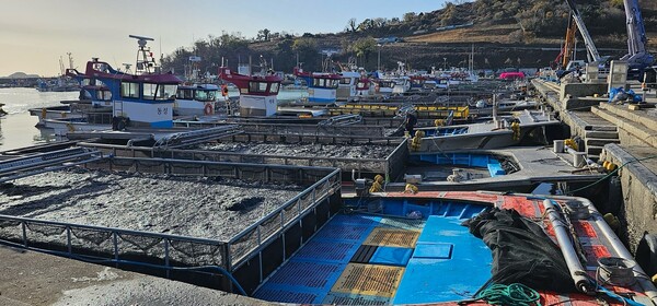 1. 고흥군, 2025년산 물김 생산량 전국 1위 달성... 생산액·위판액 모두 증가 (1) - 도화발포 위판장 / 사진 = 고흥군