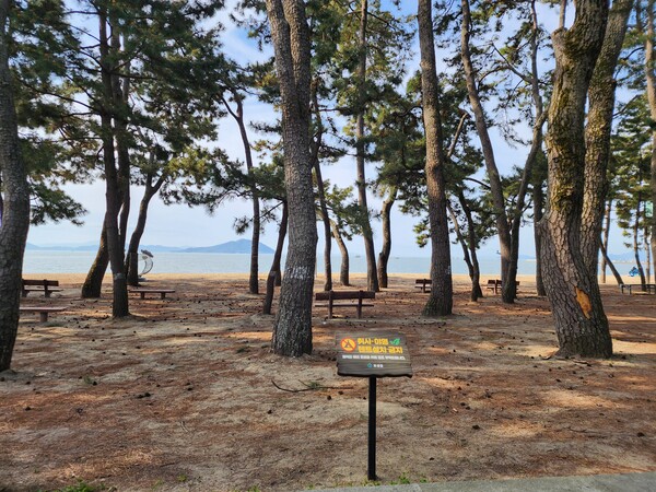 율포솔밭해수욕장, 텐트 철거 한 장소에 취사․야영 행위 금지 팻말 설치 / 사진 = 보성군