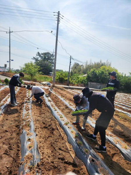 청하면 농촌일손돕기 / 사진=김제시