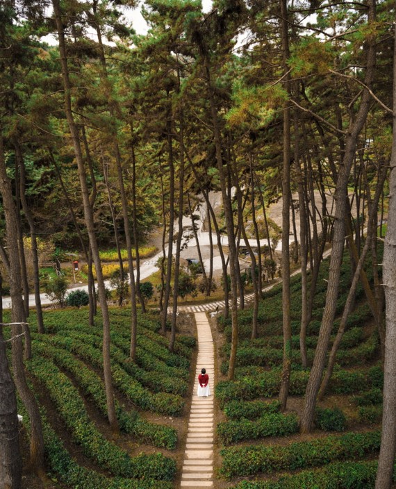 익산 함라산, 누구에게나 좋은 힐링 산책길로 재탄생 / 사진 = 익산시