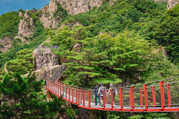 대둔산축제 프로그램 참가자 모집 / 사진 = 완주군