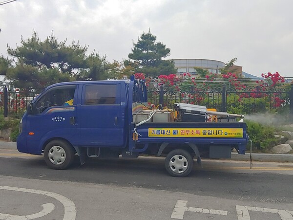 남원시, 하절기 집중 방제 돌입 / 사진=남원시