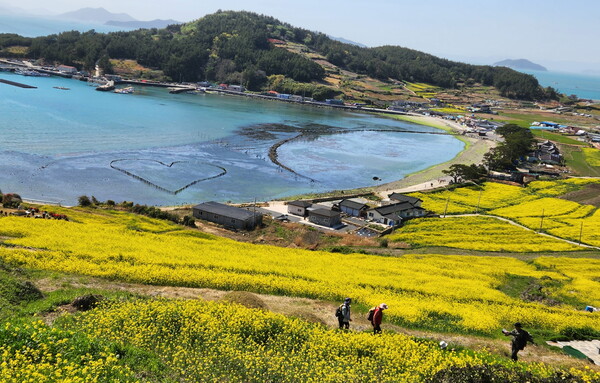 조건불리지역 직불금 (완도 청사도) / 사진 = 전라남도