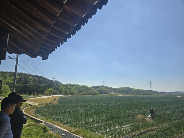 노균병 방제 / 사진 = 장수군