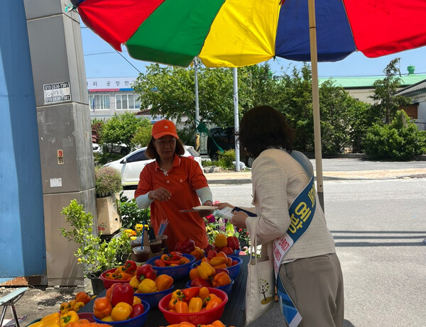 식중독 예방 및 당나트륨 줄이기 홍보 캠페인 / 사진=장수군