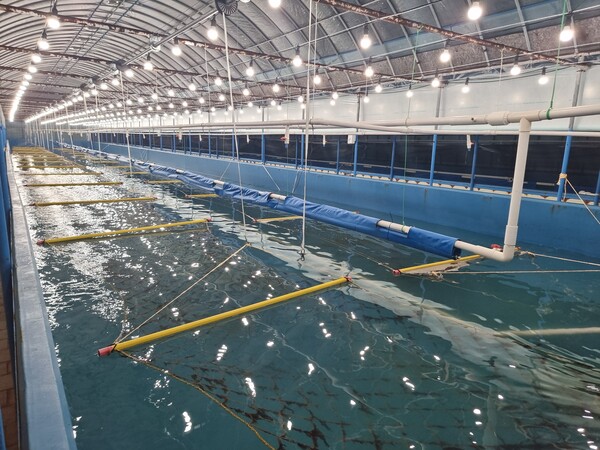 대상㈜이 김 육상양식을 위해 전남 고흥군에 조성했던 1차 시범 양식장 전경 / 사진=대상㈜