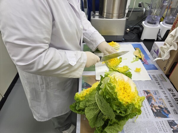토양처리살충제사용주의 / 사진 = 완주군