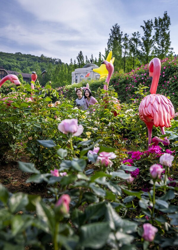 에버랜드 로로티 장미축제 현장 / 사진=삼성물산