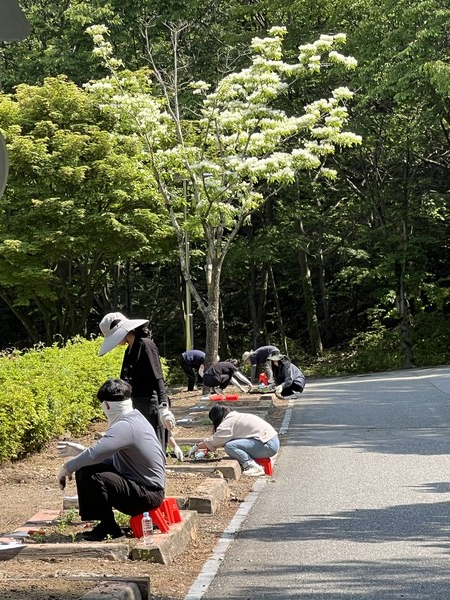 휴양림 정비 사진 / 사진 = 완주군