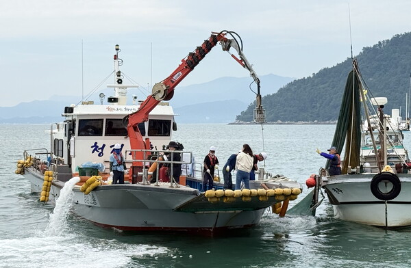 해파리 재난훈련 / 사진 = 전라남도