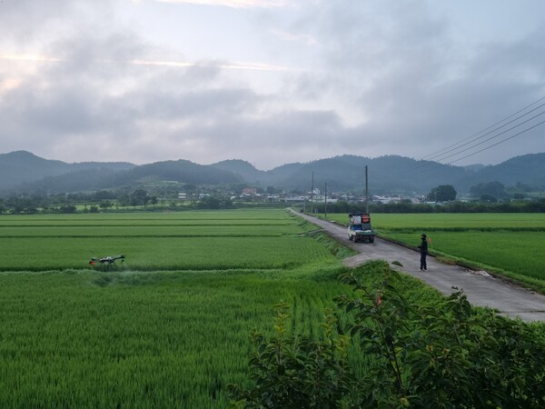 2024년 도암면 친환경재배지 방제 현장 / 사진 = 화순군