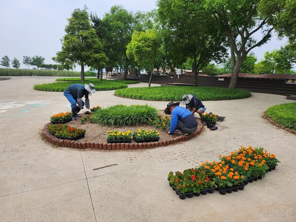 공공일자리 참여자들이 순천만습지에서 환경정비 일자리사업에 참여하고 있다 / 사진 = 순천시