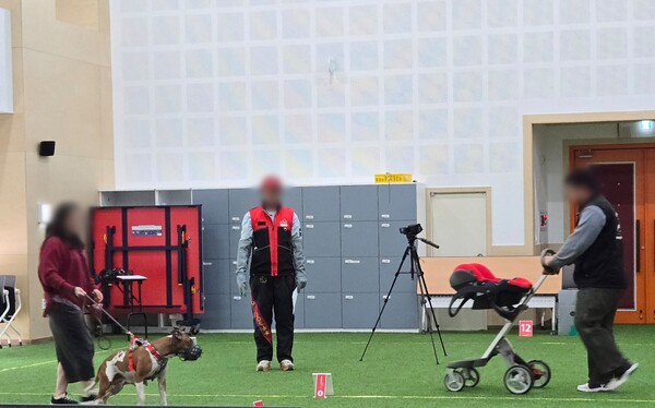 맹견 기질평가 / 사진 = 경기도