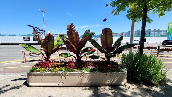 국가정원 동문에 조성된 열대풍 거리 / 사진=순천시