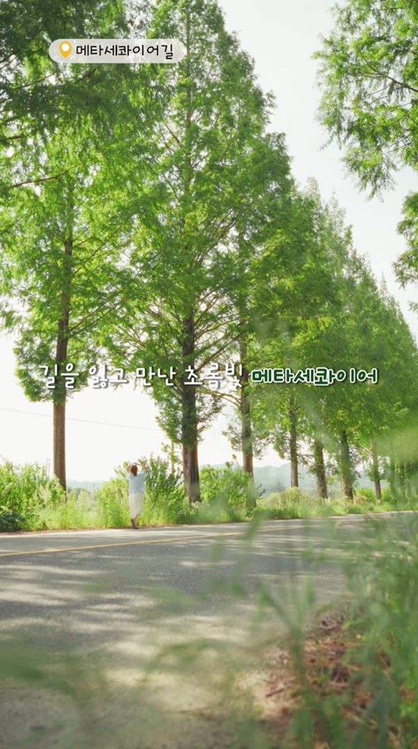 대상 수상작 중 한 장면 / 사진 = 화순군