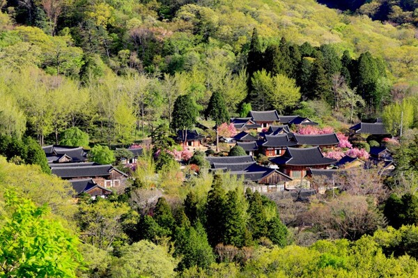 선암사 전경 / 사진=순천시