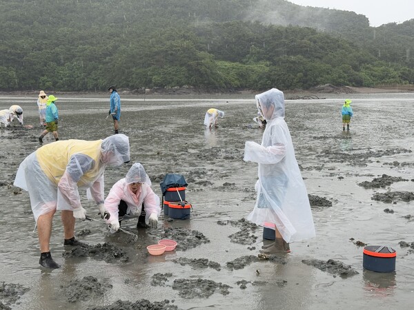 KB증권, 부안 갯벌 ESG 투어 개최·생태계 보전‧지역상생 실천 / 사진=부안군
