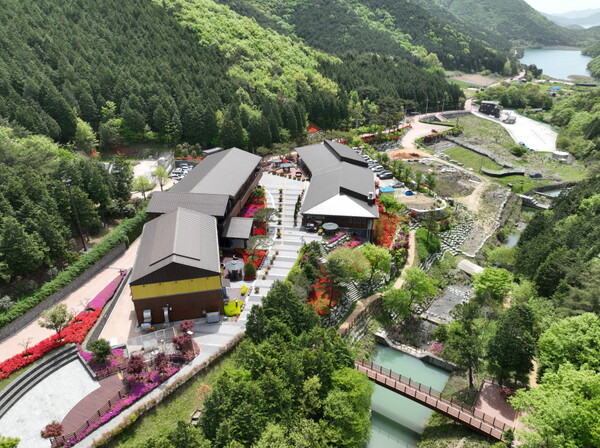 팔영산편백치유의 숲 / 사진 = 고흥군