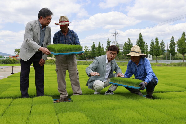 농림축산 / 사진 = 보성군