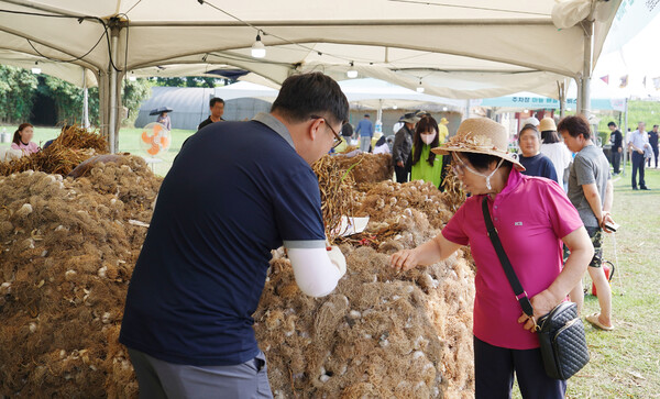 지난 6월 27일부터 29일까지 3일간 서산해미읍성 일원에서 열린 제16회 서산6쪽마늘축제 / 사진=서산시