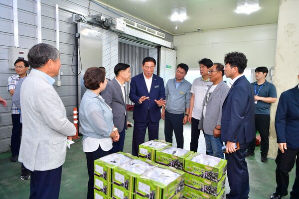 장성군 황룡농협 농산물산지유통센터에서 최근 포도공선회 출하식이 열렸다. (중앙 김한종 군수) / 사진 = 장성군
