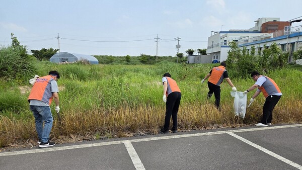 8일, 한국전력 해상풍력사업처 임직원들이 사회복지시설 주변 환경정화 봉사활동을 하고 있다. / 사진 = 신안군