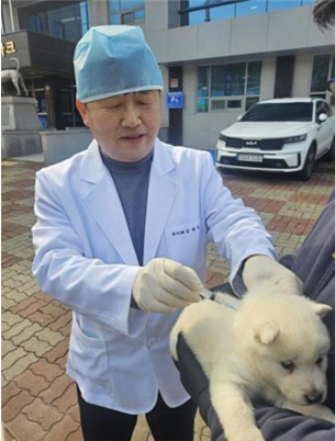 진도군, 천연기념물 진도개 ‘방문 진료’ 큰 호응 / 사진=진도군