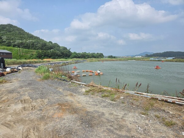 고창군, 고수온 피해 예방 위해 관내 양식장 집중 예찰 실시 / 사진 = 고창군