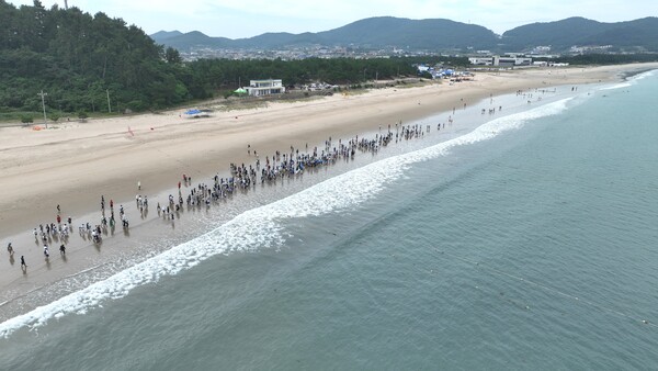 완도군, 2025 해양치유 전국 맨발 걷기 축제 개최(신지 명사십리 해변을 걷는 참가자들 모습) / 사진=완도군