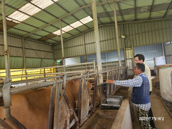 고흥군, 폭염 대비 가축피해 예방 총력 / 사진 = 고흥군