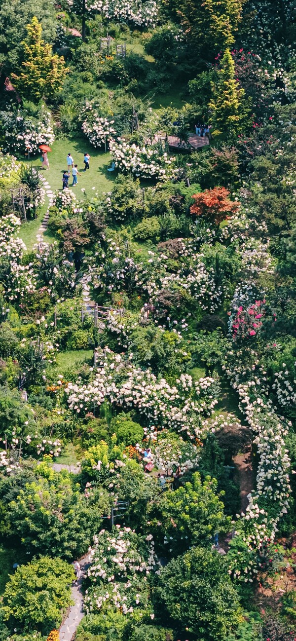      민간정원 죽화경 / 사진 = 전라남도