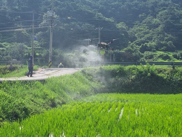 구례군, 벼 친환경재배단지 공동방제 추진 / 사진 = 구례군