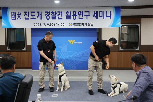 진도개, 대한민국 최초! 경찰견으로서 가능성 확인 / 사진=진도군
