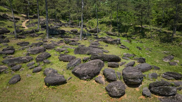 화순 고인돌 유적지 모습 / 사진=화순군