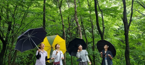 산림치유 프로그램 / 사진=장수군