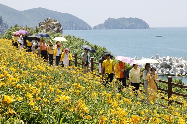 ‘2025 섬 홍도원추리 축제’ / 사진=신안군