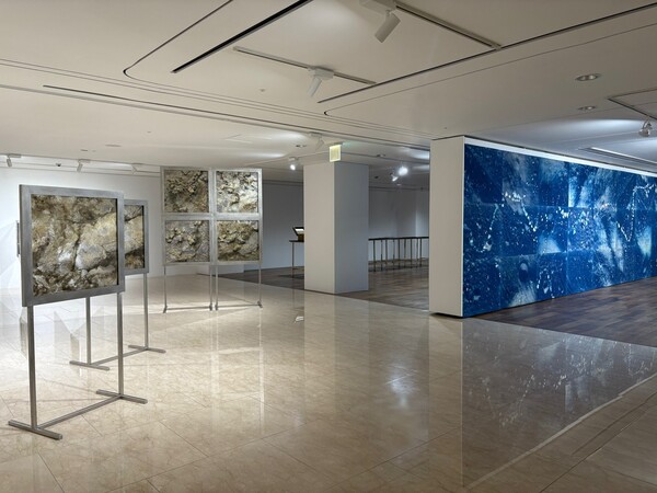 사진 = 신한은행