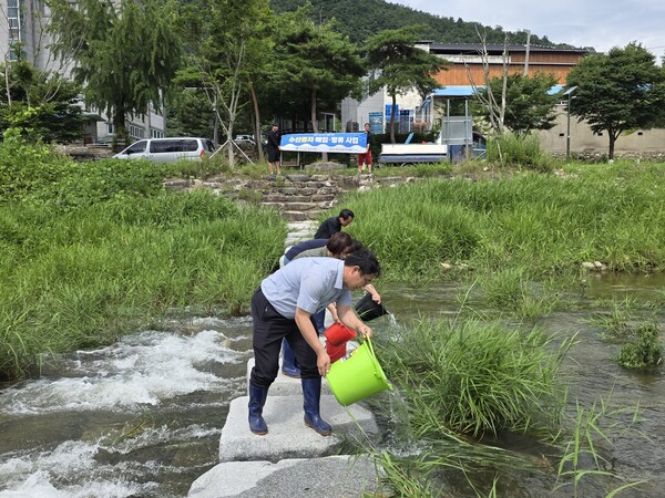 토종 붕어 치어 7만5천 마리 방류 / 사진=장수군