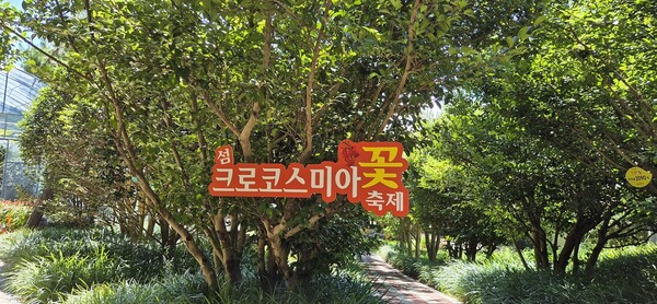 ‘2025 섬 크로코스미아 꽃 축제’ / 사진=신안군