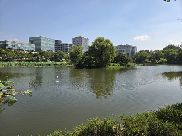 전남대 용지 / 사진 = 광주광역시