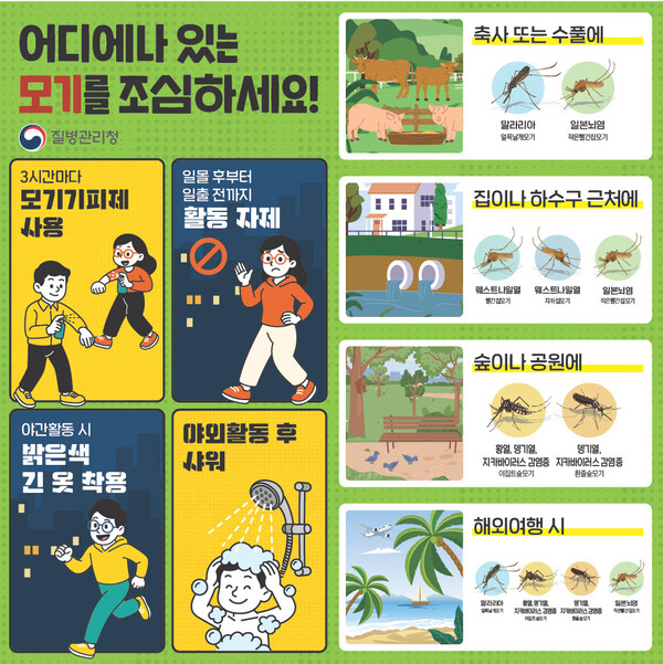 모기매개감염병 예방홍보물 / 사진 = 광주광역시