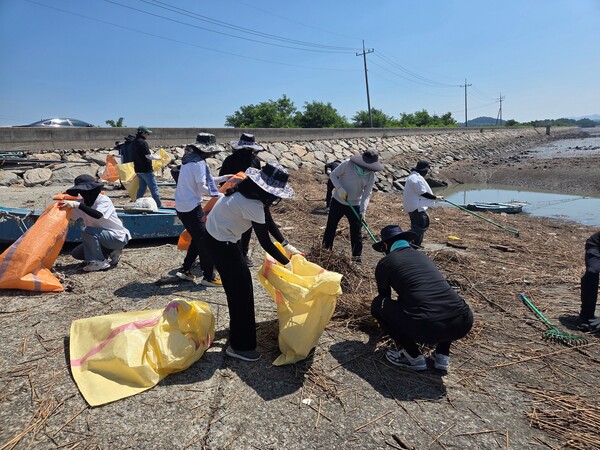 해양쓰레기 정화활동 / 사진 = 전라남도