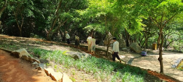 전북도, ‘치유의 숲’ 확충… 산림치유 서비스 확대 / 사진 = 전북특별자치도