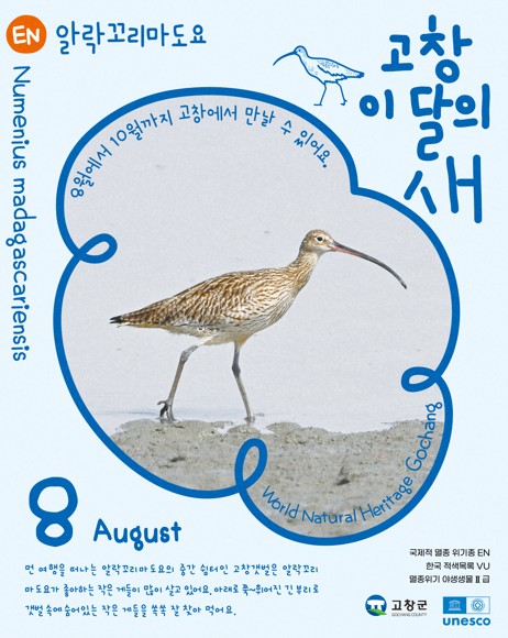 고창갯벌 8월 이달의새(알락꼬리마도요) / 사진 = 고창군